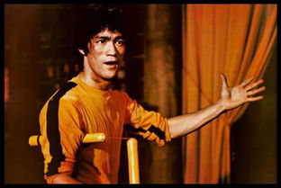 《杀手47》李小龙盟友揭秘：暗杀世界中的绝世高手！