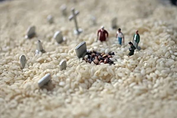 《粒粒的小人国》PC版必备配置揭秘！畅玩攻略大公开