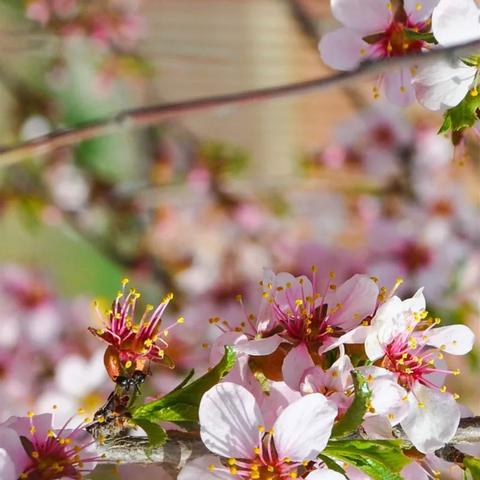 手游《无限大》深度解析：探索无尽冒险新玩法