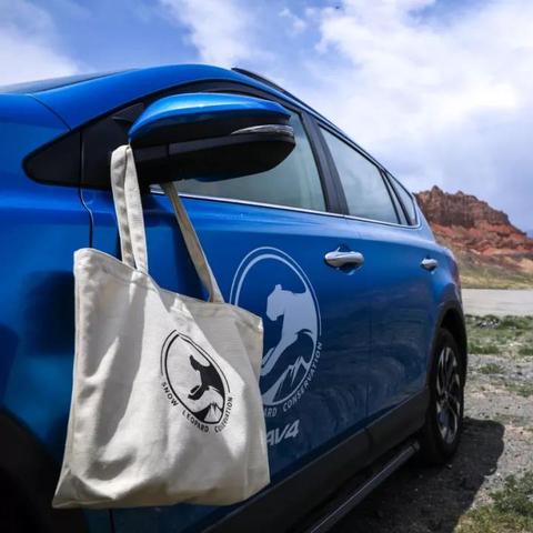 惊！西宁动物园雪豹逃脱，揭秘神秘逃逸真相