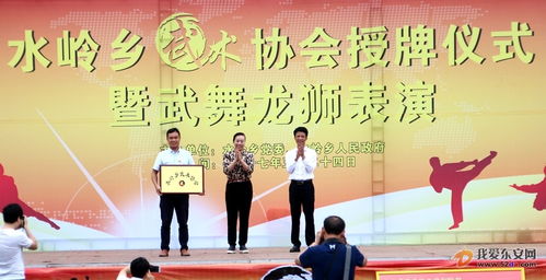 退休制片人大展身手，揭秘武术高手如何智斗两大骗徒