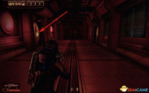 寂静岭御守杜鹃位置详解+效果解析+高效获取技巧