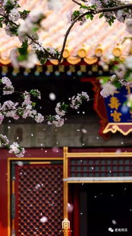 故宫奇遇记！《喵喵宫廷》Steam版独家揭秘，畅游喵家族收藏之旅