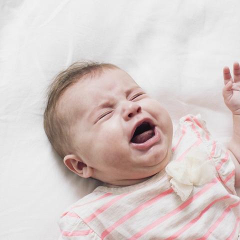 惊悚缺席，梦魇之夜：游乐园惊魂体验新升级