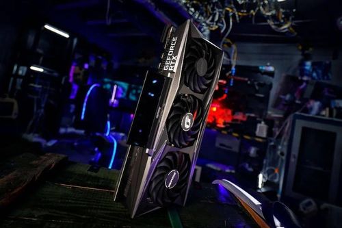 RTX3080显卡畅玩《枪墓GORE》重制版，体验极致视觉盛宴