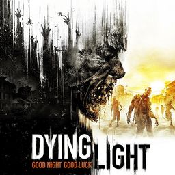 《消逝光芒》困兽主线十年不晚攻略：高效通关技巧解析，轻松掌握！