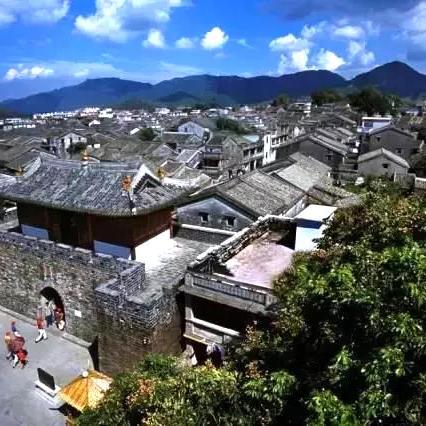 金鸡奖提名6项大鹏主演《长安荔枝》：揭秘幕后“荔枝使”传奇