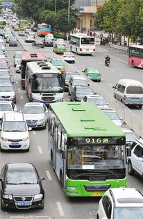 高速大堵车9小时变21小时！男子奇招破解，高效出行新攻略