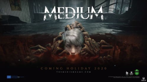 《寂静岭f》艾达·王MOD革新：探索全新主角形象，沉浸式体验升级