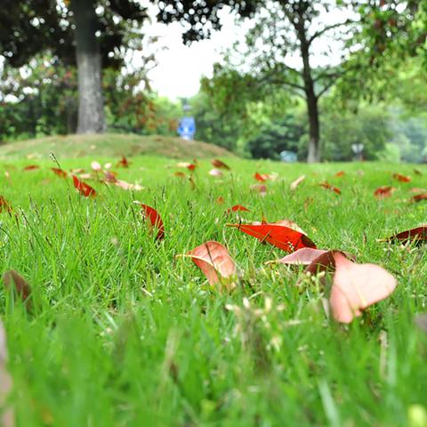 中秋狂欢！超自然行动组怪物农场玩法攻略+资源产出解析，赏景指南一网打尽