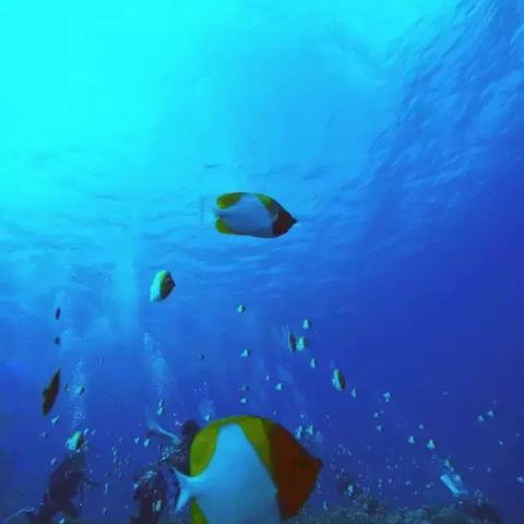 轻松解锁攻略！舒舒服服小岛时光大师剑获取秘籍大揭秘