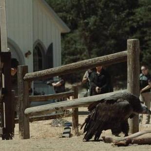 《消逝光芒》疯狂杀戮第三章攻略：高效通关秘籍，轻松解锁支线挑战