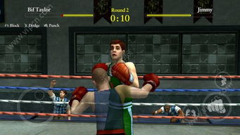 《恶霸鲁尼》开发内幕大揭秘：揭秘每周18小时高强度工作背后的秘密！