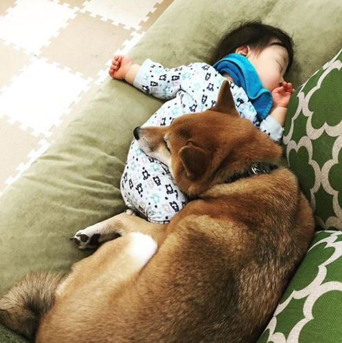 《三男一狗》小富演员亲证：甲亢哥竟是亲侄子，罕见家庭照曝光！