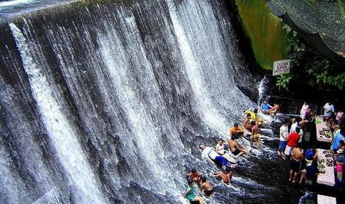 虎口瀑布奇观：老虎玩水管竟成绝妙景观，颠覆想象！