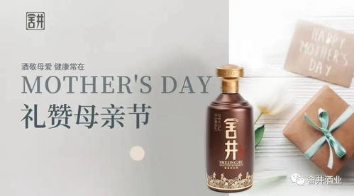 寻母之旅：淡路之爪揭秘，母爱传承新篇章