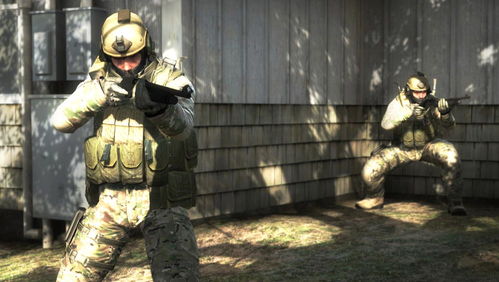 《反恐精英2》饰品市场突变惊雷，Meiko惨遭血洗，财富蒸发如梦幻泡影！