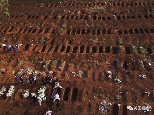 《金垦小镇》Nintendo Switch版11月6日全球首发，体验全新田园生活魅力