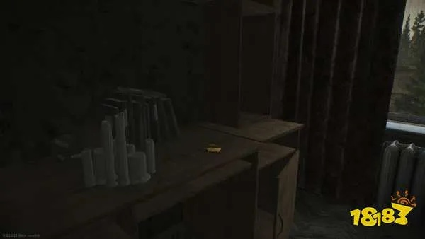 神秘物品解析：揭秘《逃离鸭科夫》宝藏攻略