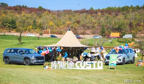 幽谷草原25关伙伴弹途攻略：高效通关秘籍大揭秘