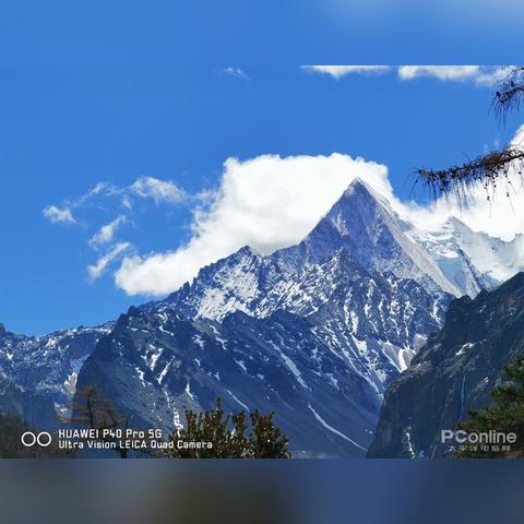 蔚蓝星球密林宝藏攻略，深度解析夺宝新境界