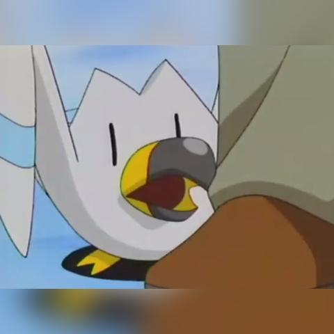 宝可梦传说ZA滑翔技巧解锁攻略，轻松掌握飞行新技能