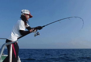 《鸭科夫钓鱼攻略》鱼竿鱼饵获取技巧大揭秘！