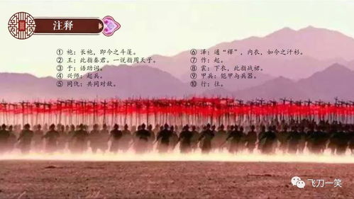 王于兴师减速留人队玩法深度解析与实战技巧分享