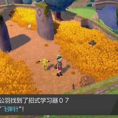 《宝可梦传说ZA》全招式学习器攻略汇总，一网打尽位置解析秘籍