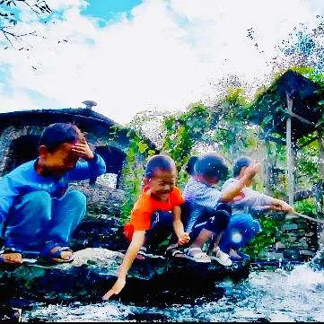 蛋中致富攻略：通关守蛋必备技巧解析