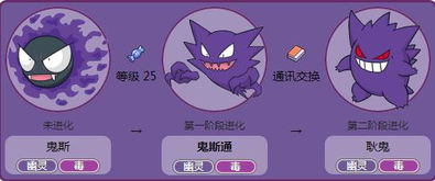 宝可梦ZA耿鬼进化揭秘：解锁神秘新价值