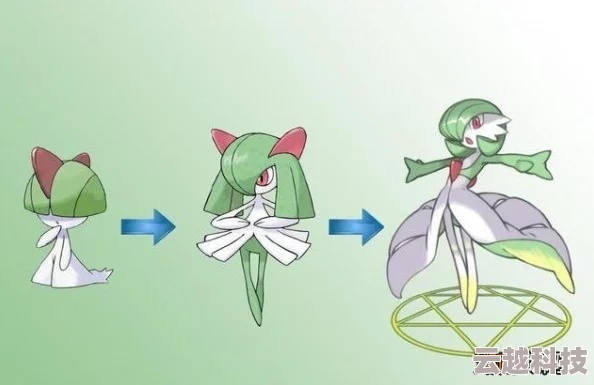 《宝可梦Z-A》探秘：拉鲁拉丝神秘领地揭秘！