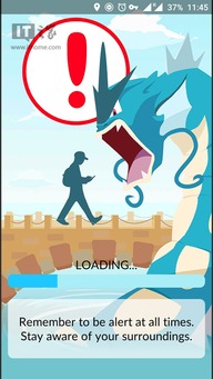 《宝可梦Z-A》花蓓蓓分布全解析，染发任务攻略秘籍大公开