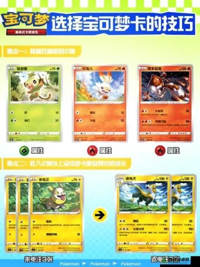 宝可梦ZA新手攻略：轻松上手，掌握战斗技巧秘籍