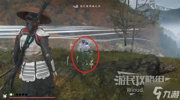 《羊蹄山之魂》面纱三度笠攻略：高效获取新技巧揭秘