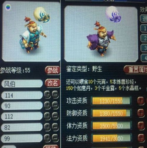 水声色彩揭秘：解锁《数码宝贝物语时空异客》独特任务攻略