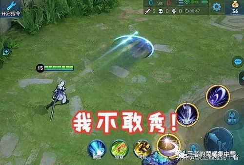 洛伊要塞露娜：揭秘全新移动堡垒极致强度解析