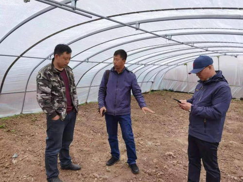 安全驾驶成就攻略：揭秘街漓芳传高效驾驶技巧