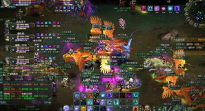 箭雨护身符获取攻略：揭秘高效获取新途径