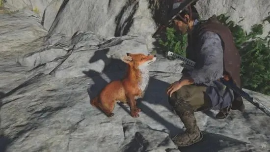 羊蹄山双狼攻略：高效获取方法解析，掌握独门秘籍