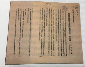 太平公主政策解析：太守效应与华夏太平新篇章