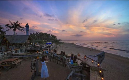 神射手养殖场攻略：高效养殖新技巧揭秘