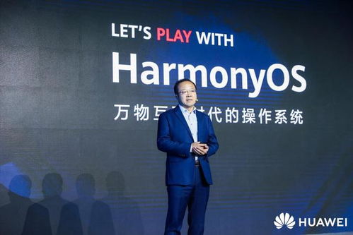 HarmonyOS游戏领航，新机遇体验服务启未来