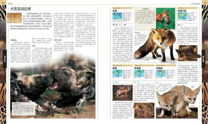 灌木林动物图鉴：疯狂神射手秘籍大揭秘