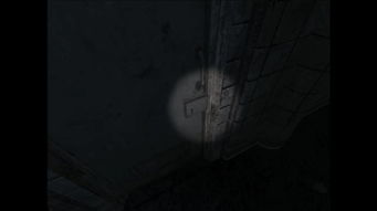 《寂静岭F》深水家房间谜题攻略：纹章解析与结局揭秘指南