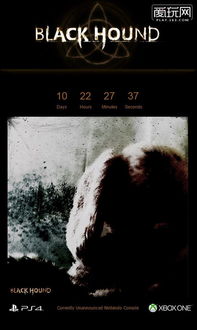 《寂静岭F》秘密箱谜题攻略：全难度解密秘籍大公开