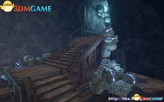 《寂静岭f》田地稻草人谜题攻略：不同难度解答全解析