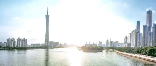 《寂静岭F》性价比解析：揭秘哪个版本最具投资价值