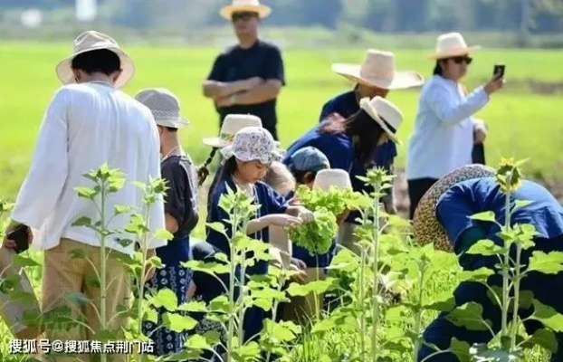帕鲁农场大揭秘：探索农业新乐趣，体验田园新价值