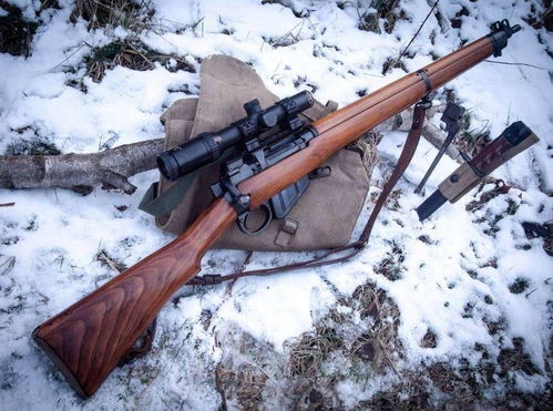 传奇步枪抹杀获取攻略：揭秘高效传奇步枪获取新途径